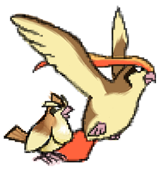 Pidgey evolved to Pidgeotto